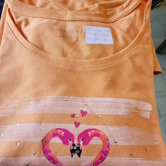 Catherines T-Shirt Men's Size 2X Orange Cotton Crew Neck Short Sleeve Pullover - Picture 3 of 7
